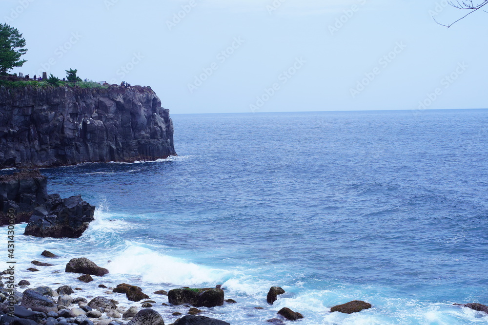 Fototapeta premium 静岡の海