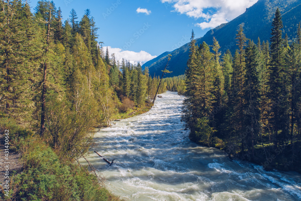 Beautiful mountain river flowing. Blue Kucherla river in Belukha national park, Altai mountains, Siberia, Russia Beautiful mountain river flowing. Blue Kucherla river in Belukha national park, Altai mountains, Siberia, Russia