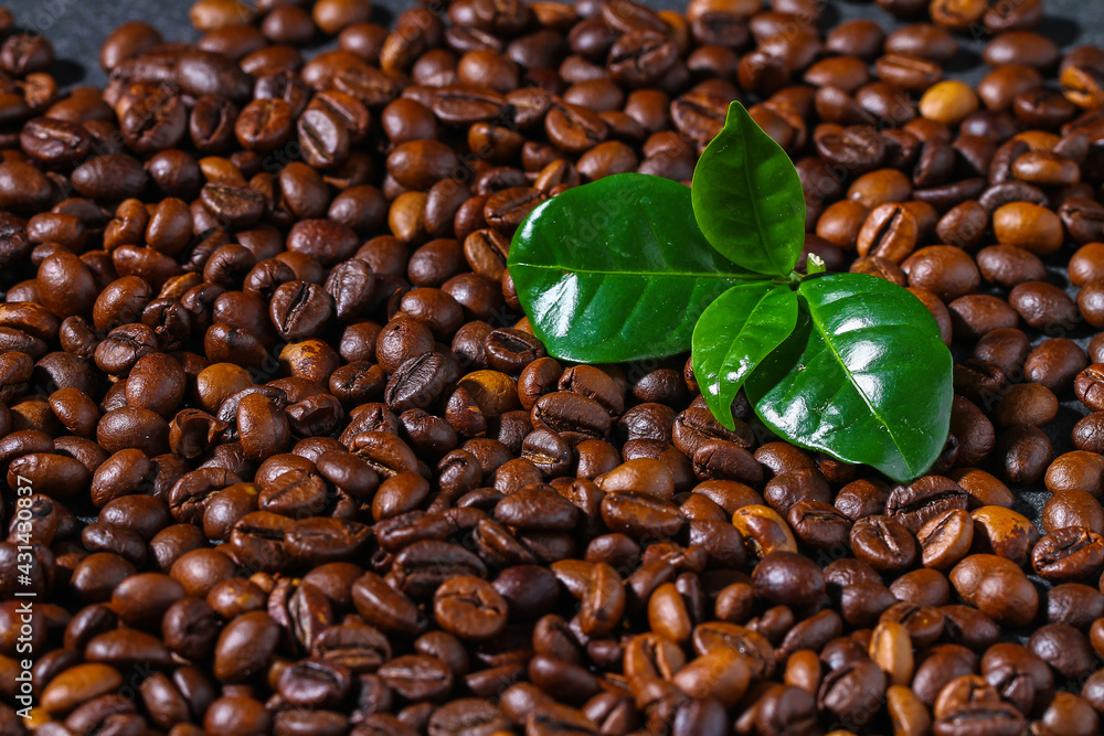 Fototapeta premium Roasted brown coffee beans. Top view. Coffee background texture.