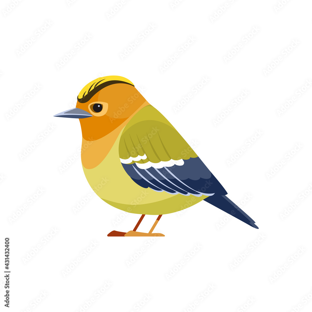 Obraz premium Kinglet bird. Golden-crowned kinglet is a very small songbird in the family Regulidae. Cartoon flat character of ornithology, vector illustration isolated on white background