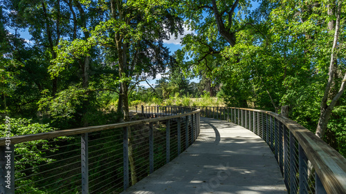 Orenco Woods Nature Park Trails , Hillsboro, Oregon photo