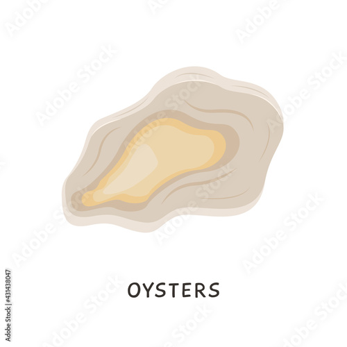 Oysters. Vector fresh oyster shell isolated on white background. Cooked delicacies, Mediterranean delicacy seafood. Shellfish in flat cartoon style. 