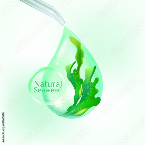 fresh Kelp seaweed salad sea food vector Illustration