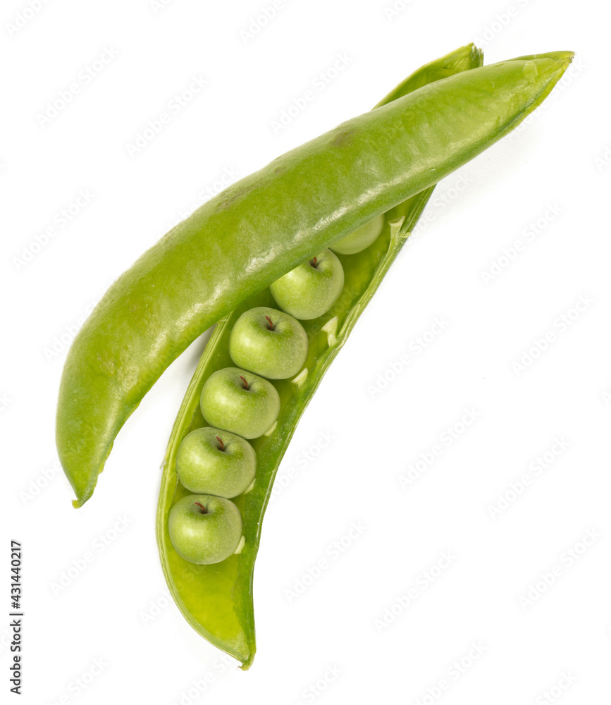 Close up of fresh green sugar snap filled with green apples Close up of fresh green sugar snap filled with green apples