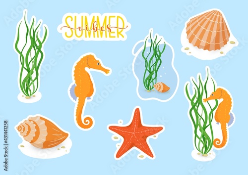 Vector stickers set with ocean or sea animals with white border for cutting. Cute sea horse, starfish, grass, seashells, Summer vibes quote printable stickers for decoration of planners, scrapbooking.