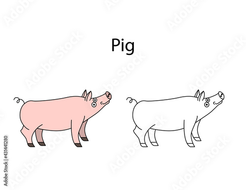 Funny cute animal pig isolated on white background. Linear, contour, black and white and colored version. Illustration can be used for coloring book and pictures for children