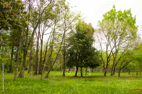 Garden and park, Zugdidi Botanic garden in Georgia. © taidundua