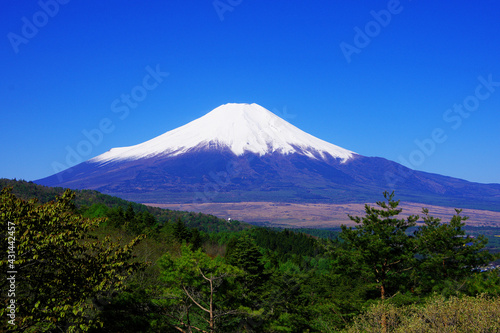 20210503忍野村二十曲峠から5月の青空快晴の富士山