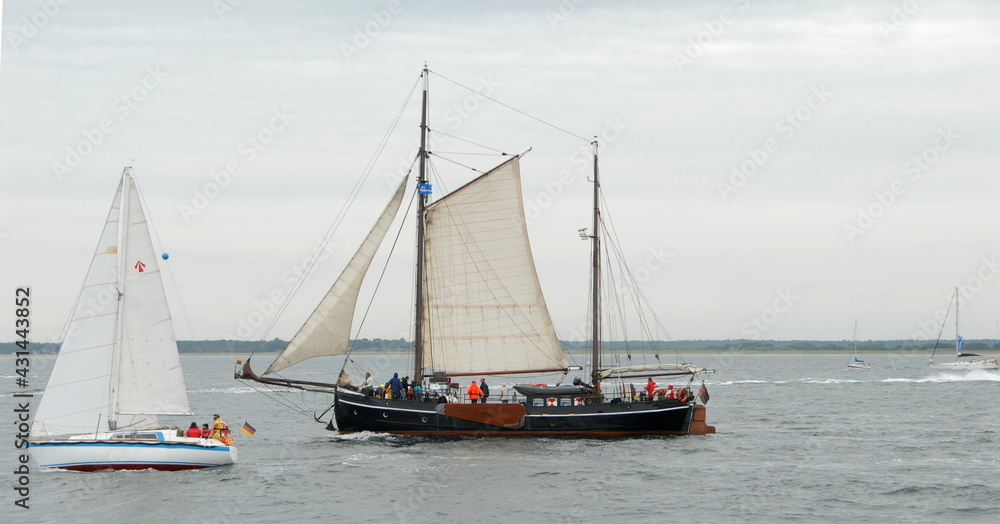 Fototapeta premium Hansesail Rostock
