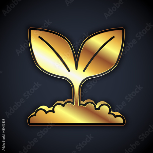 Gold Plant icon isolated on black background. Seed and seedling. Leaves sign. Leaf nature. Vector