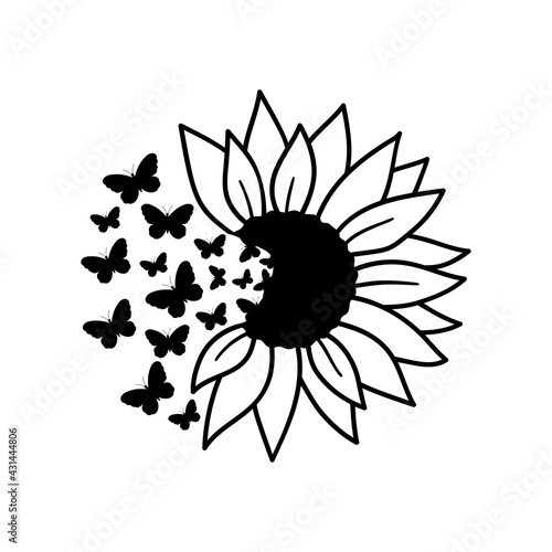 Sunflower and butterflies. Outline drawing. Line vector illustration.  Isolated on white background. Good for posters, t shirts, postcards.