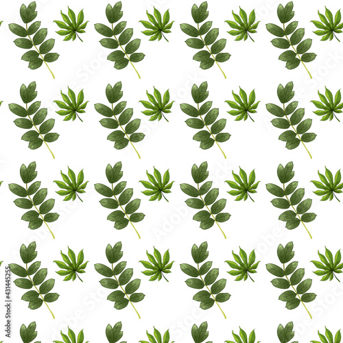 A pattern of branches and leaves on a white background