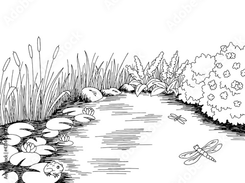 Pond graphic black white landscape sketch illustration vector 