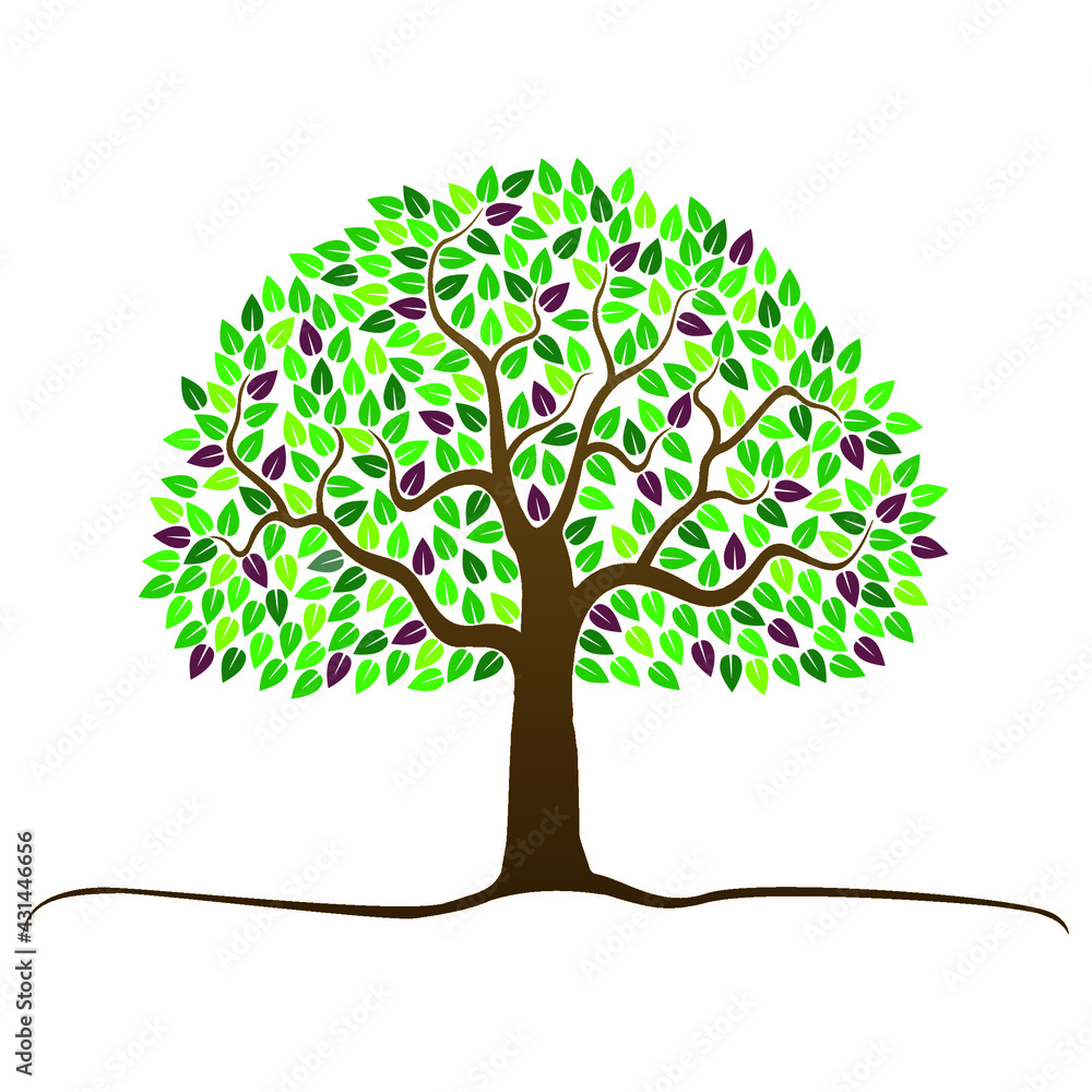 Fototapeta premium tree with leaves