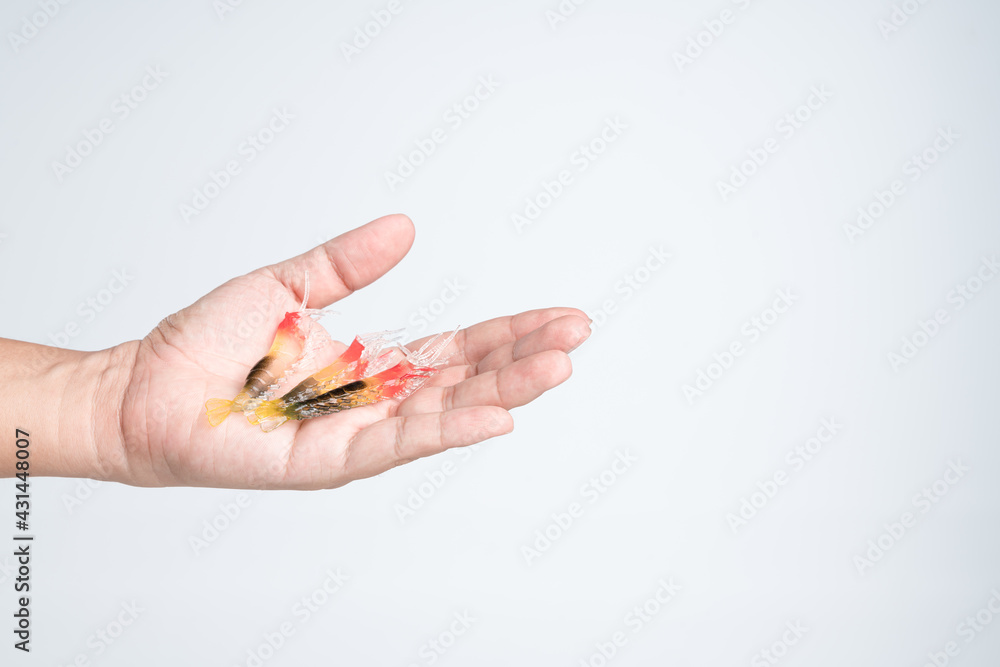 Hands holding artificial rubber shrimp lure bait Hands holding artificial rubber shrimp lure bait