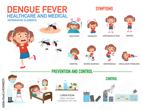 Dengue fever infographics. vector illustration.