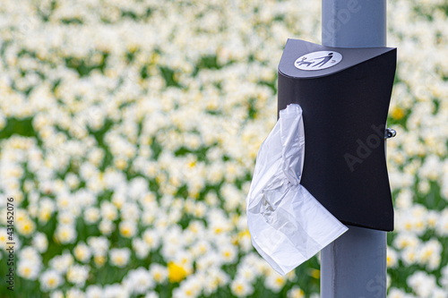 Fotografía Box with plastic bags for walking dog in the park