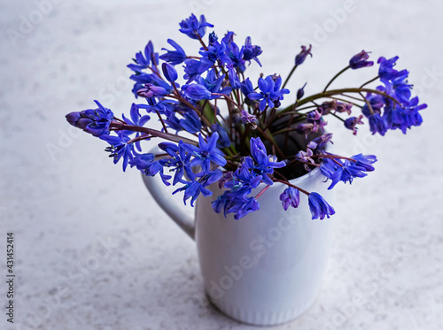 bouquet of blue flowers photo