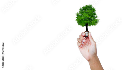 A tree glowing in a light bulb on white background. green energy for environment and save the earth ecology concept.