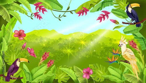 Jungle vector landscape, tropical forest background, toucan, parrot, exotic flower, sun rays. Summer nature Brazil rainforest view, banana leaf, wildlife floral banner. Jungle landscape, palm outline