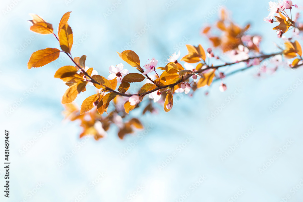 Beautiful spring nature web banner with brown tree leaves on blurred background Beautiful spring nature web banner with brown tree leaves on blurred background