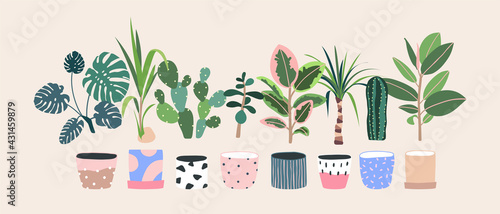 Home plants in flowerpot. Houseplants isolated. Trendy hugge style, urban jungle decor. Hand drawn. Set collection. Green, blue, white, pink, brown, beige pastel colors. Print, poster. Logo, label.