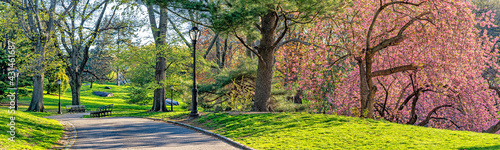 Central Park in spring photo