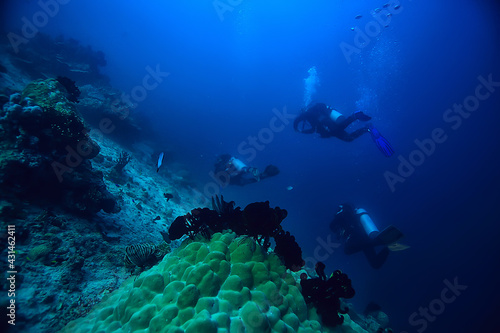 divers in the ocean  underwater sport active recreation in the deep ocean