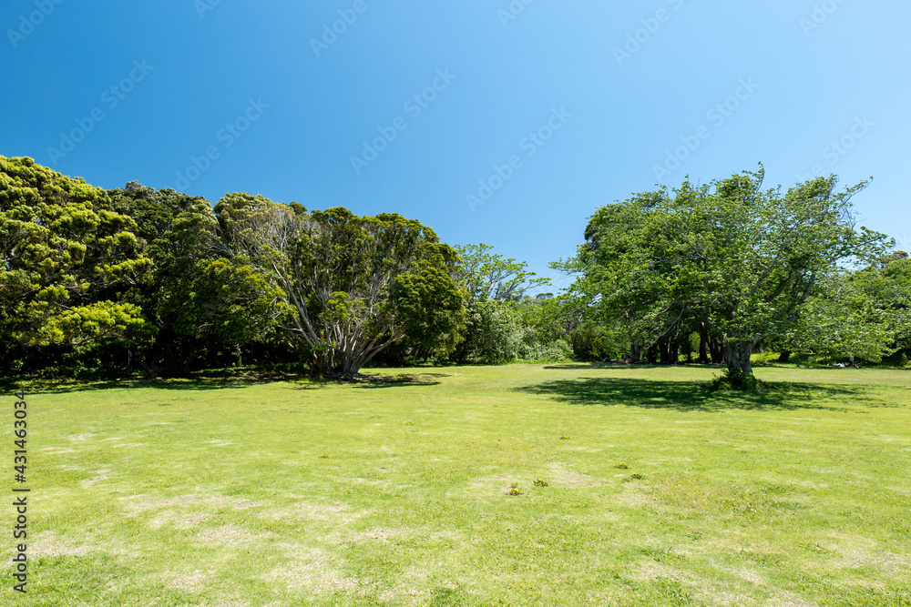 青空広がる初夏の公園　千葉県大房岬　5月