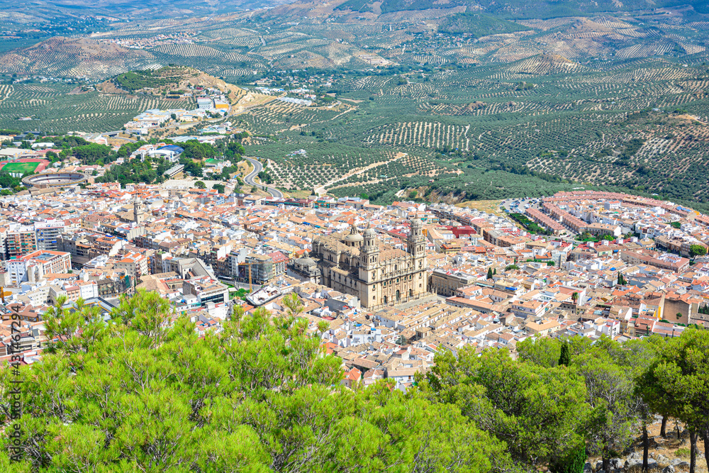 Aerial view of the city of Jaén, its cathedral and olive groves from the castle.