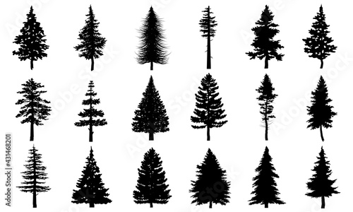 Big Collection of Black pine trees silhouettes vector Icon. Can be used to illustrate any nature or healthy lifestyle topic.