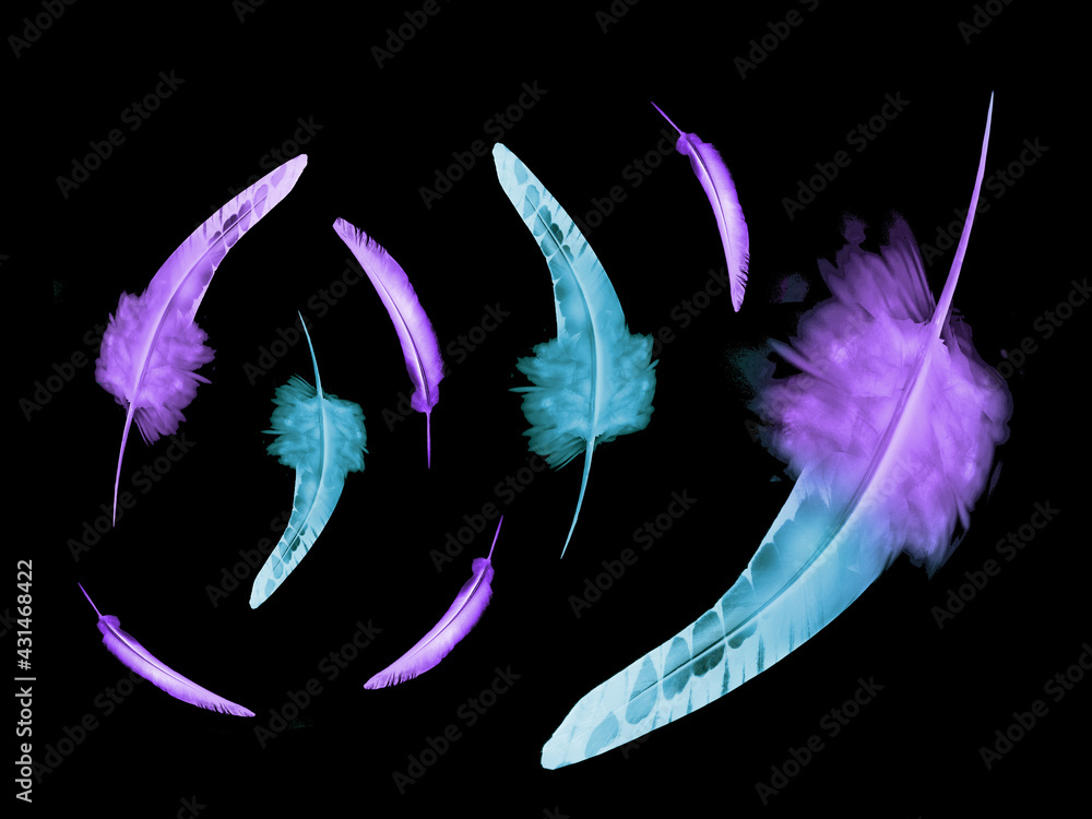 Fototapeta premium Beautiful color feathers isolated on black background