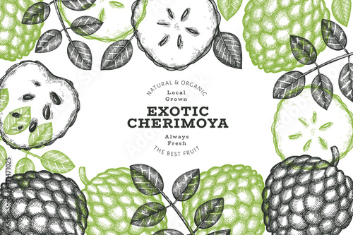 Hand drawn sketch style cherimoya banner. Organic fresh fruit vector illustration. Engraved style botanical design template.
