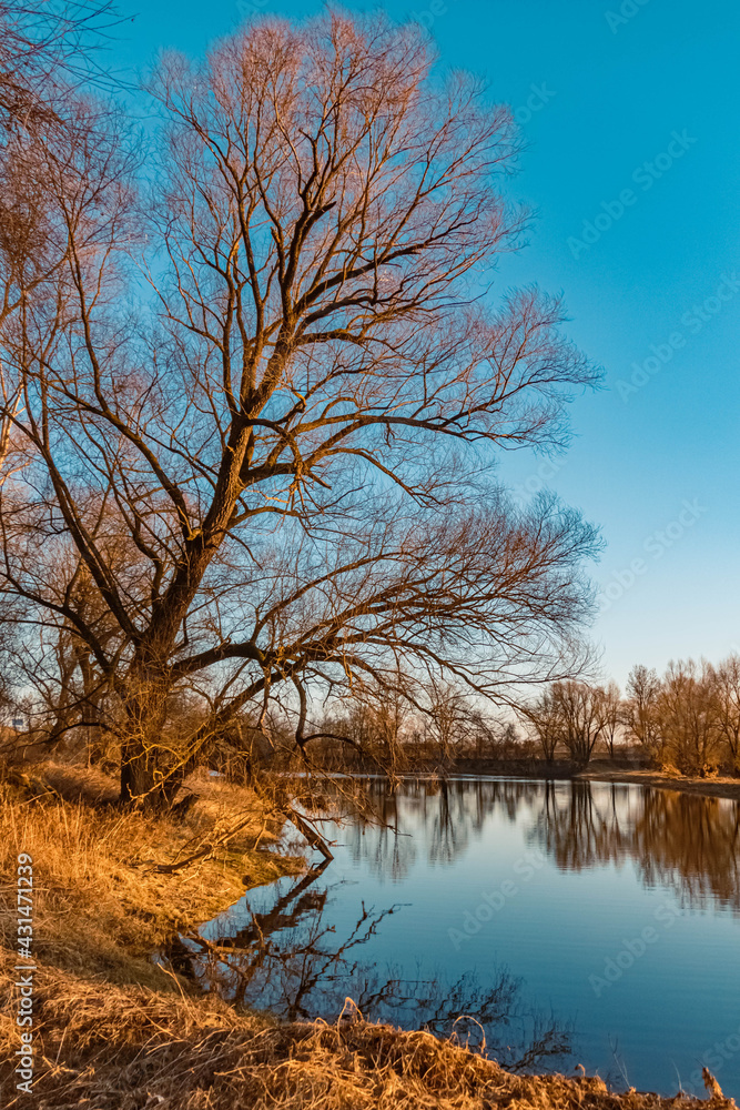 Beautiful sunny winter evening view with reflections near Mettenufer, Danube, Bavaria, Germany Beautiful sunny winter evening view with reflections near Mettenufer, Danube, Bavaria, Germany