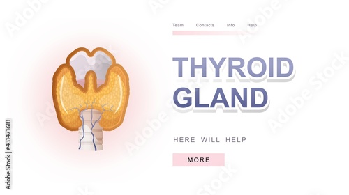 thyroid gland banner concept vector