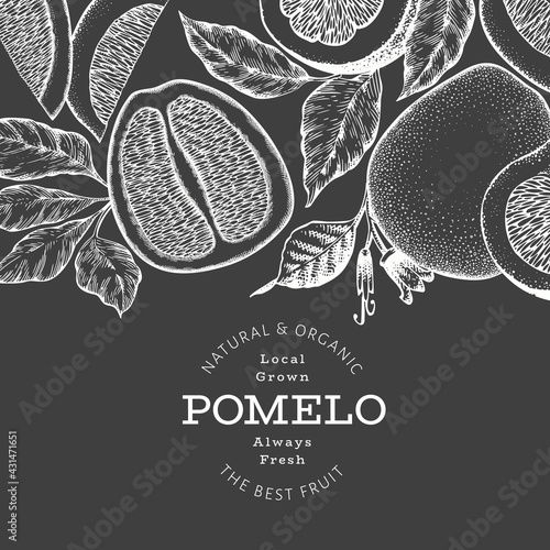 Hand drawn sketch style pomelo banner. Organic fresh fruit vector illustration on chalk board. Retro fruit design template