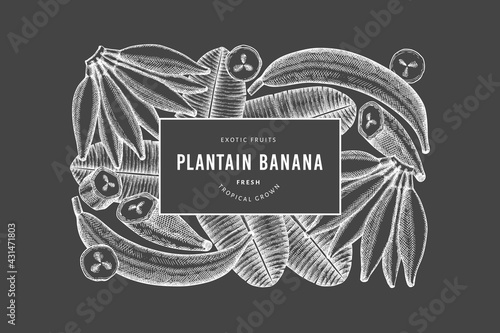 Hand drawn sketch style plantain banner. Organic fresh fruit vector illustration on chalk board. Retro exotic banana fruit design template