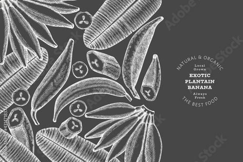 Hand drawn sketch style plantain banner. Organic fresh fruit vector illustration on chalk board. Retro exotic banana fruit design template