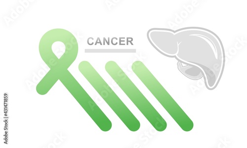 concept vector banner human liver