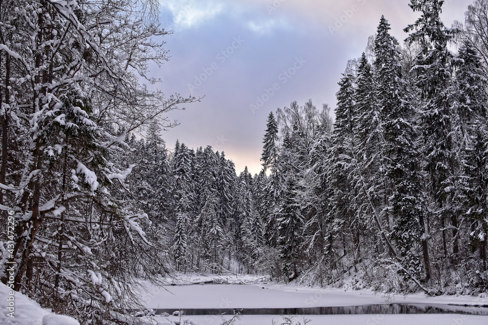 Fototapeta premium Winter in Russia