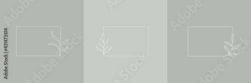 Set Hand Drawn Organic grass, Leaves and flower with square frame, Floral elements, Botanical illustration, Decorative Leaf, Vector Illustration for graphic design, wedding, invitation, logo, cosmetic