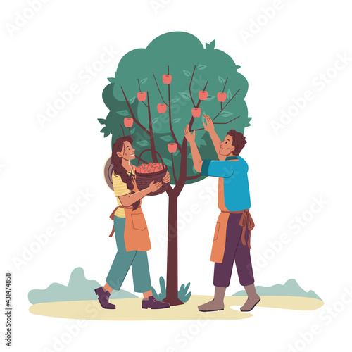 Gardeners man and woman gathering harvest from apple-tree isolated cartoon characters. Vector farmers in aprons collect fruits into basket. Agriculture and farming, family couple collecting apples