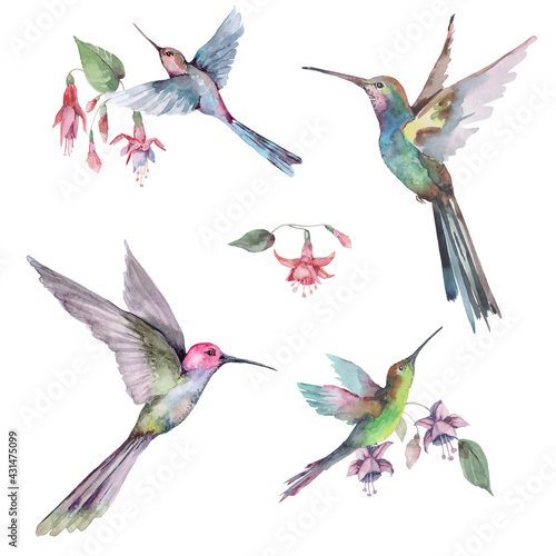   Seamless pattern with flying hummingbirds and pink fuchsia flowers with buds and green leaves. Isolated elements on a white background. Watercolor for textile, background, wallpaper, packaging.