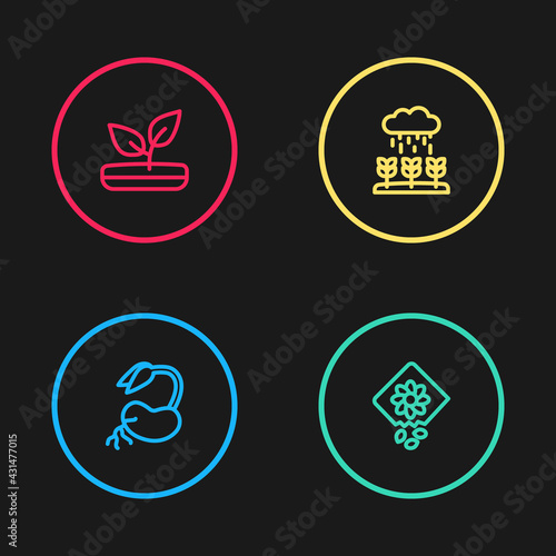 Set line Sprout, Pack full of seeds of plant, Plant sprouts grow in the rain and icon. Vector