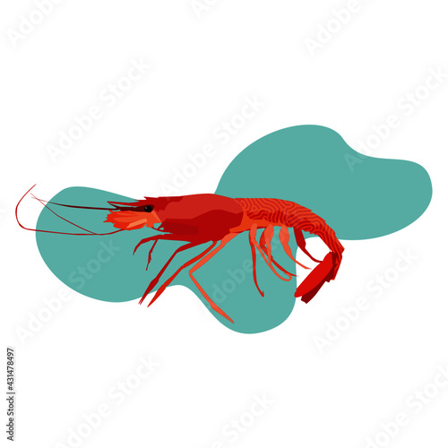 Gamba Diseño