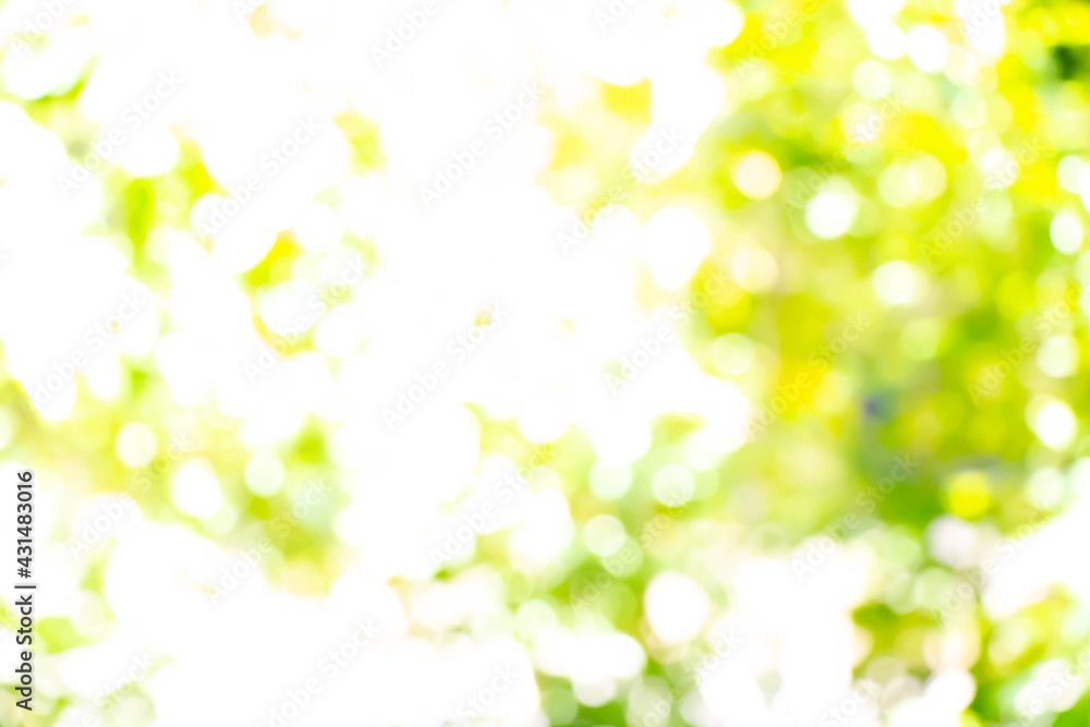 abstract de focused blurred nature background