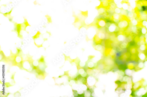 abstract de focused blurred nature background