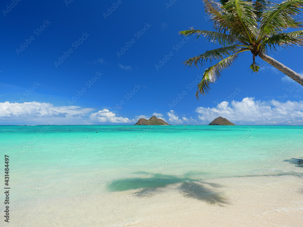 Fototapeta premium ハワイ、晴天のラニカイビーチ