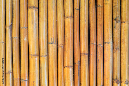 bamboo wooden wall or fence for background textured.