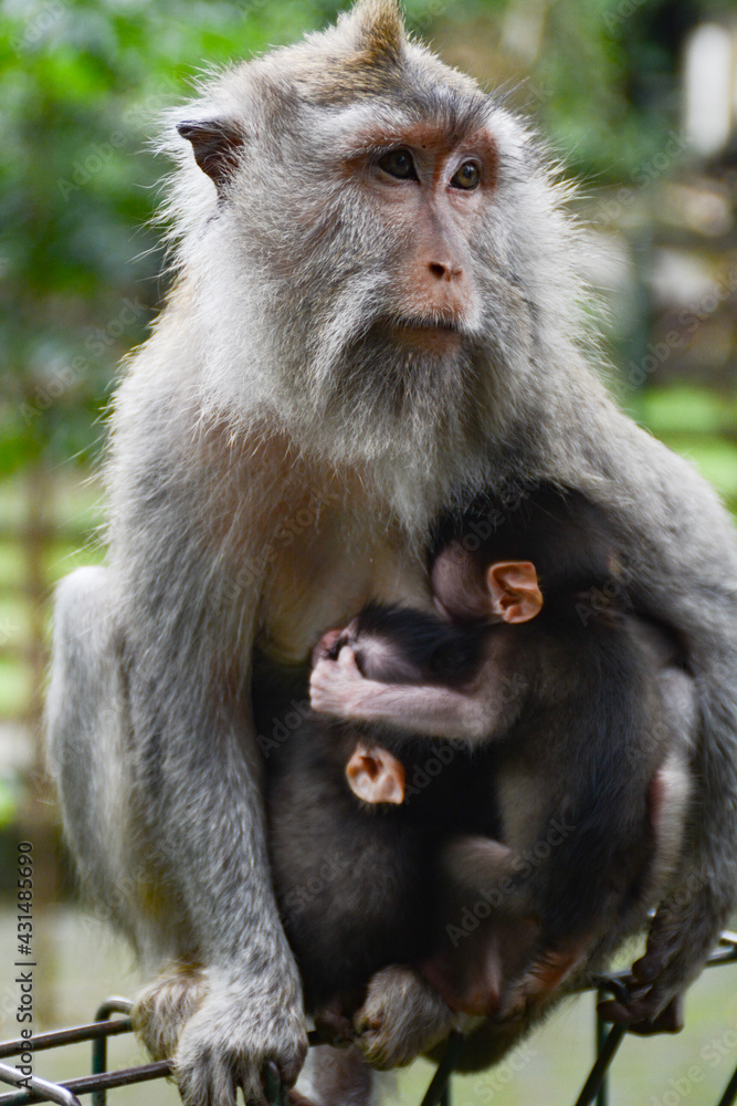 mother and baby mother and baby
